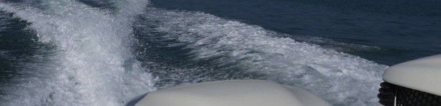 Stacks Image 1431